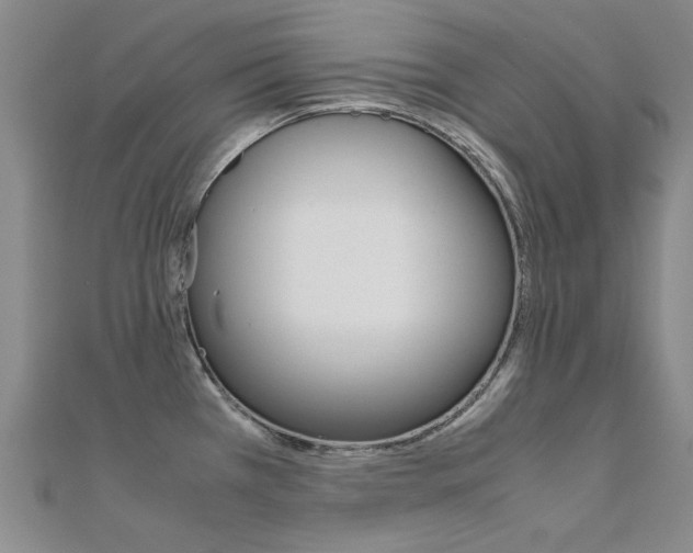 X0000112171385200908070950