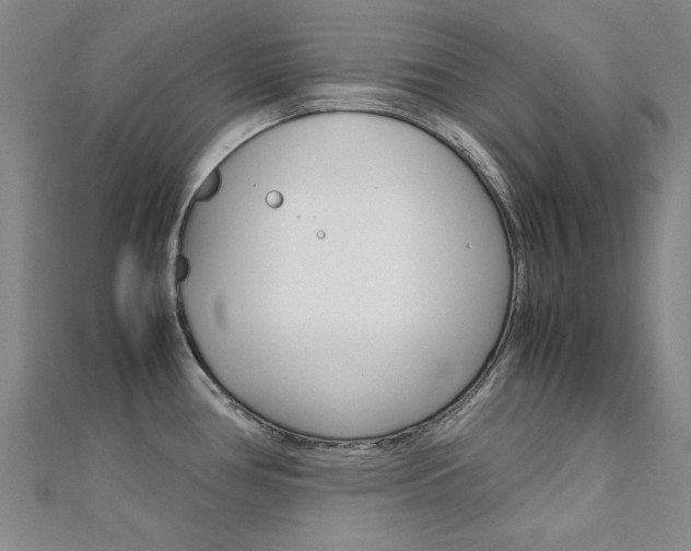 X0000112171386200908070950