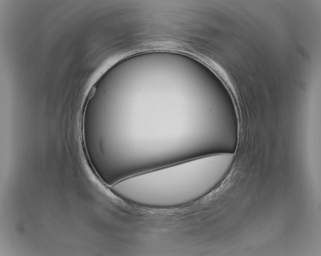 X0000112171389200908070950
