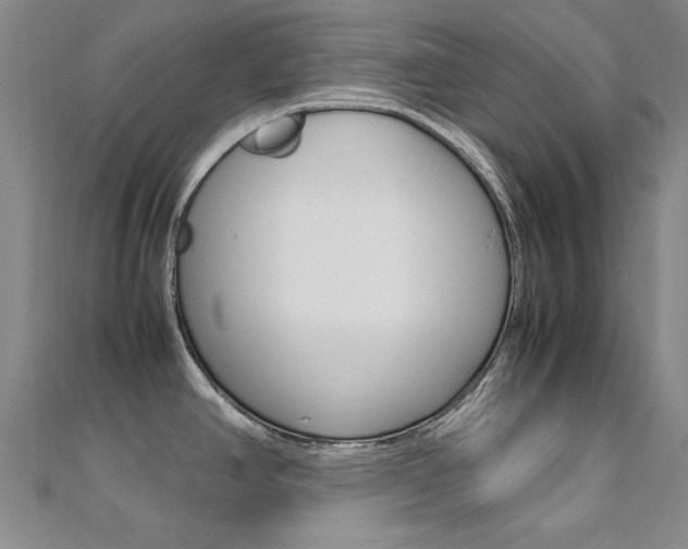X0000112171390200908070950