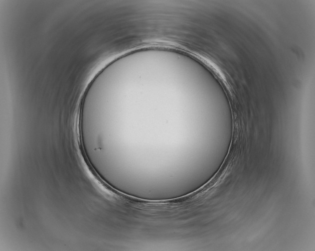 X0000112171391200908070950