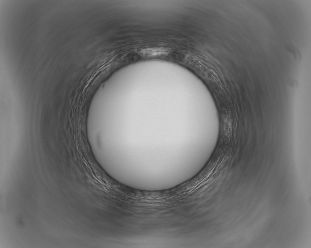 X0000112171393200908070950