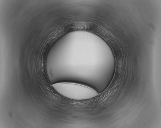 X0000112171394200908070950