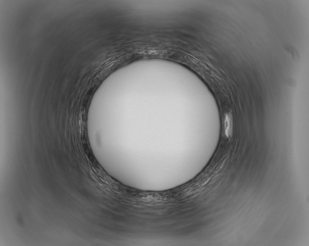 X0000112171395200908070950
