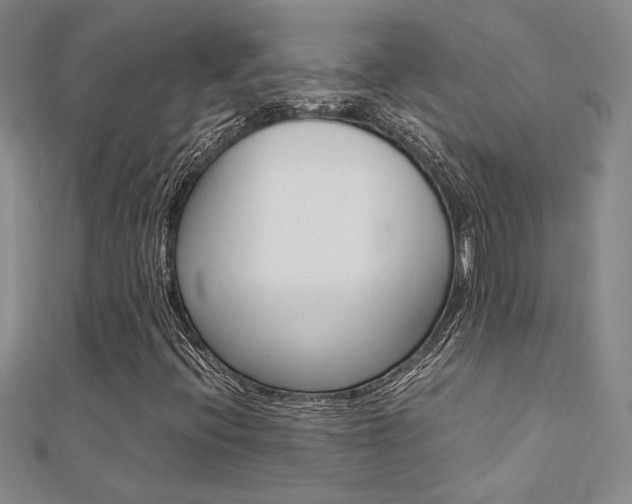X0000112171396200908070950