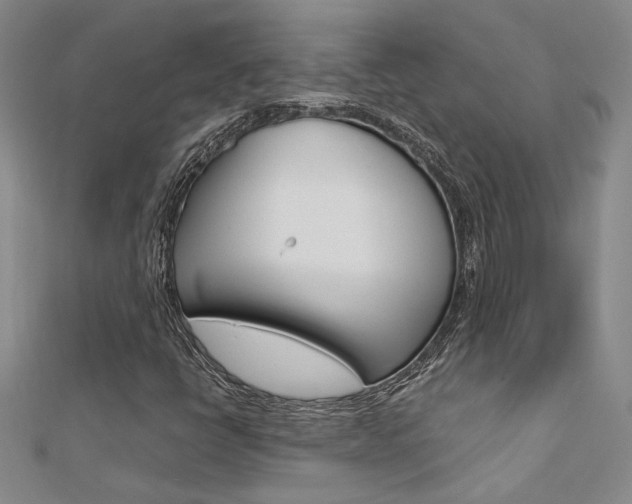 X0000112171398200908070950