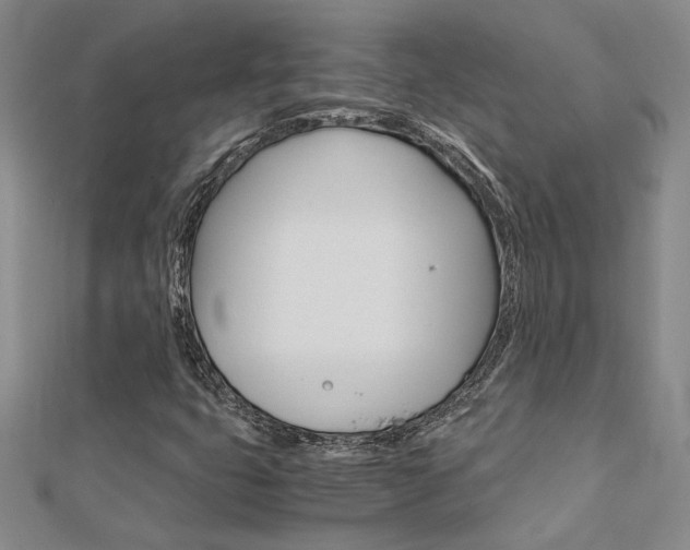 X0000112171399200908070950