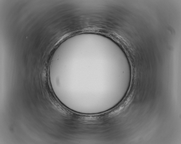 X0000112171401200908070950