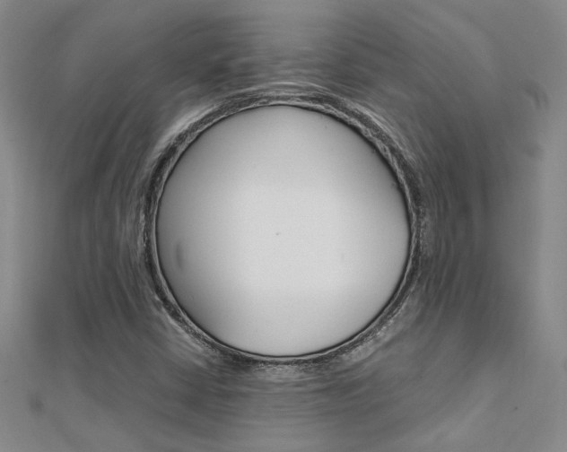 X0000112171402200908070950