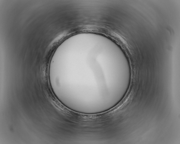 X0000112171403200908070950