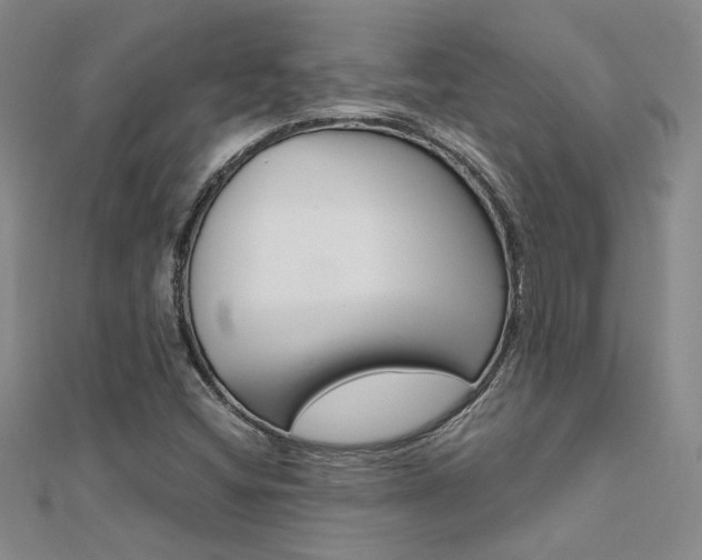 X0000112171404200908070950