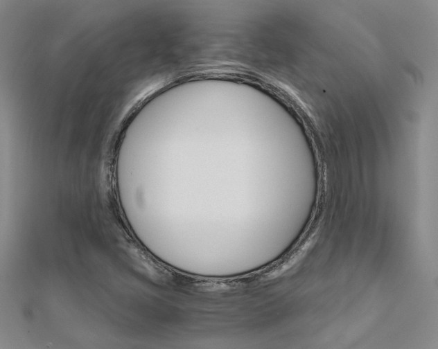 X0000112171405200908070950