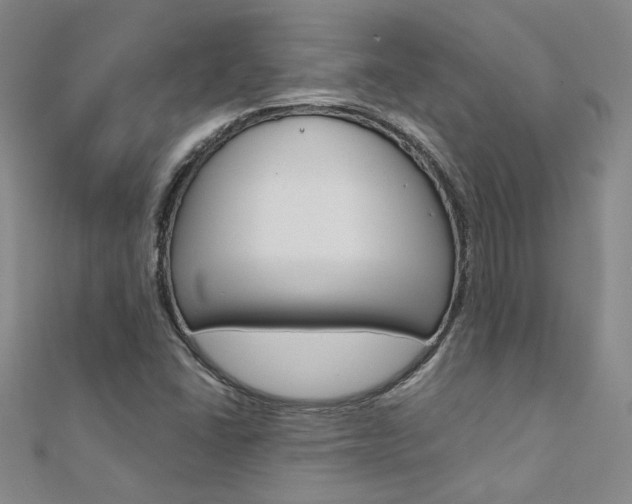 X0000112171406200908070950
