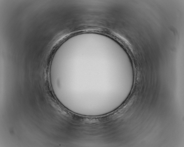 X0000112171407200908070950