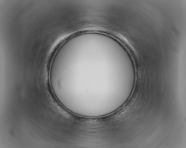 X0000112171408200908070950
