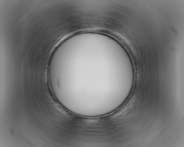 X0000112171409200908070950