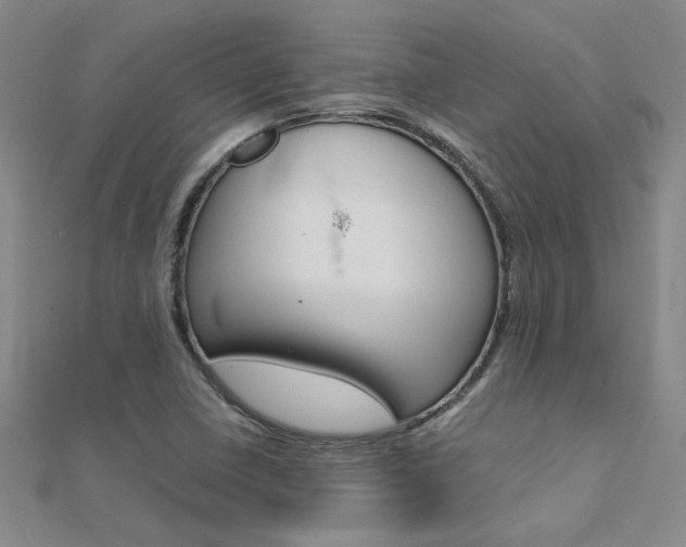 X0000112171410200908070950