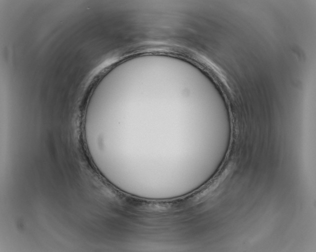 X0000112171411200908070950