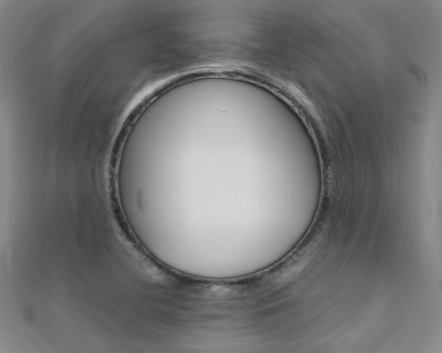 X0000112171412200908070950