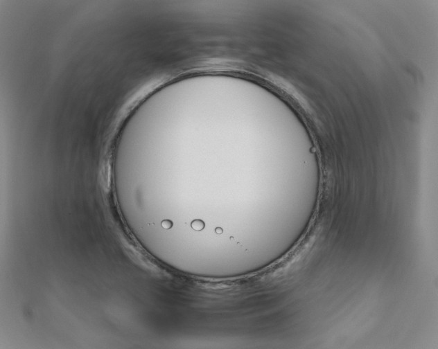 X0000112171413200908070950