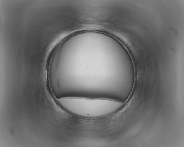 X0000112171414200908070950