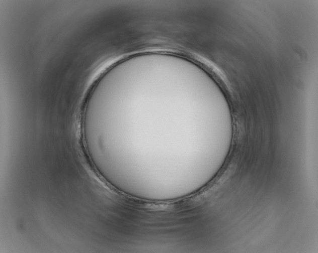X0000112171415200908070950