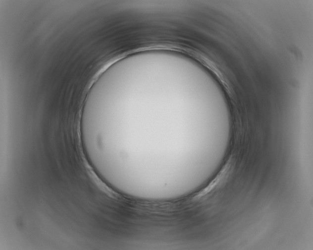X0000112171417200908070950