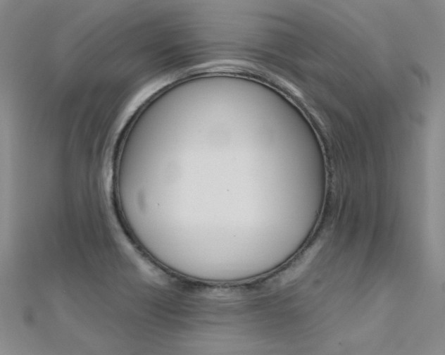 X0000112171418200908070950