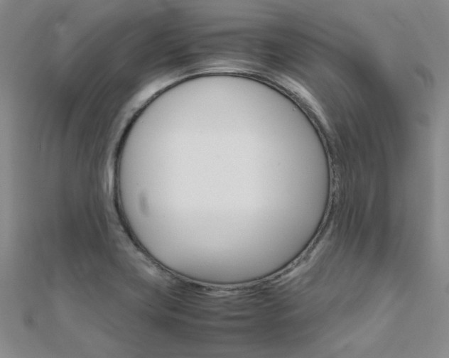 X0000112171419200908070950