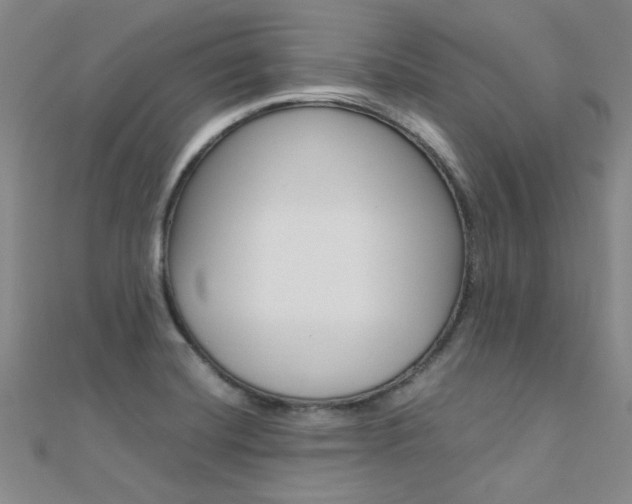 X0000112171420200908070950