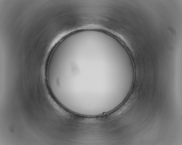 X0000112171422200908070950