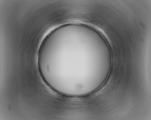 X0000112171424200908070950