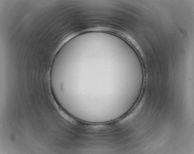 X0000112171425200908070950