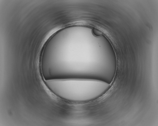 X0000112171426200908070950
