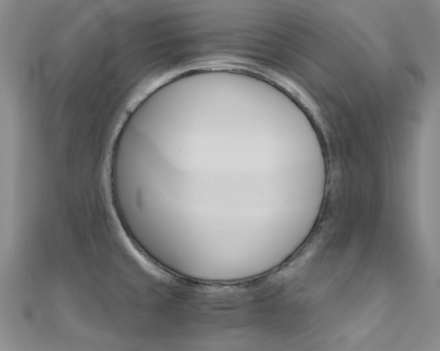 X0000112171429200908070950