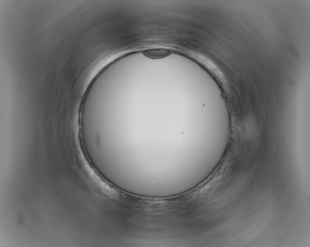 X0000112171431200908070950
