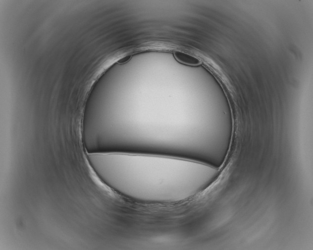 X0000112171433200908070950