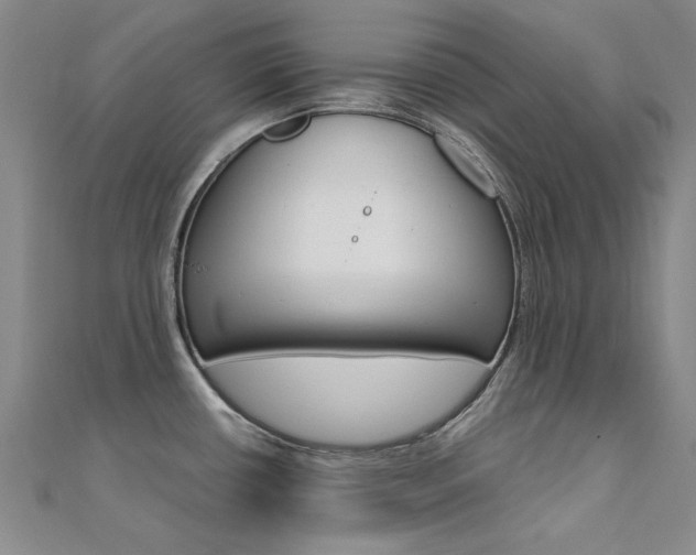X0000112171434200908070950