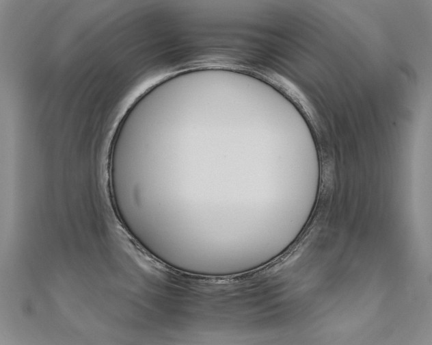 X0000112171435200908070950