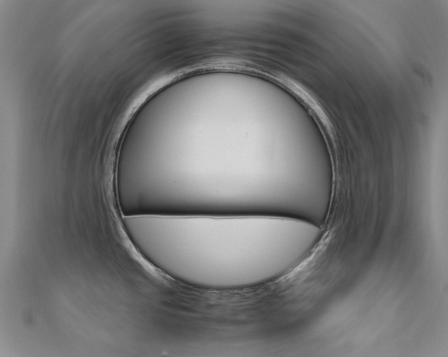 X0000112171437200908070950