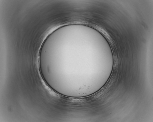 X0000112171439200908070950