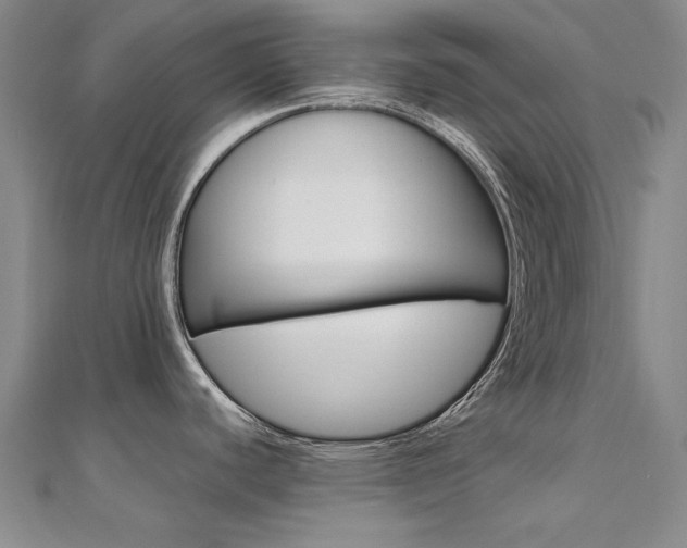X0000112171440200908070950