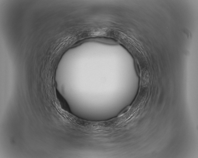 X0000112171441200908070950