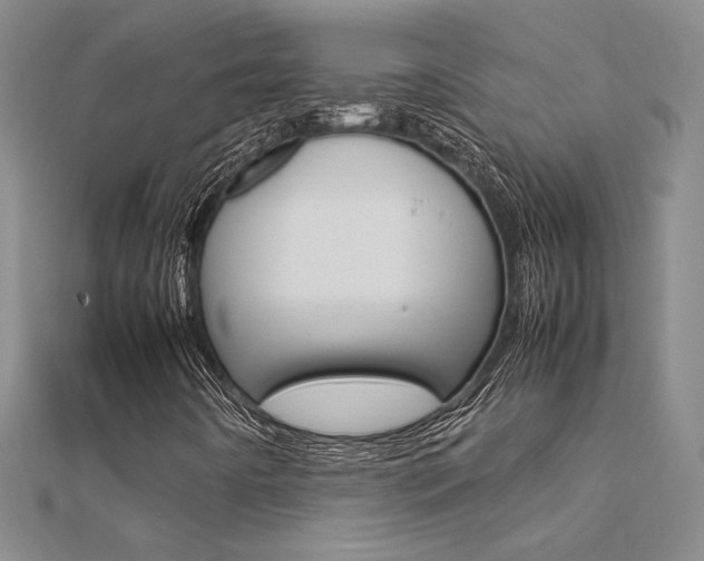 X0000112171442200908070950