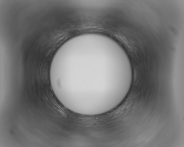 X0000112171444200908070949