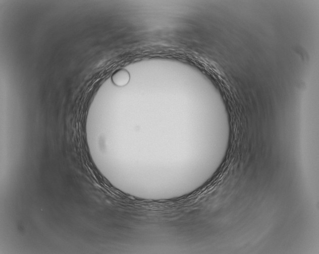 X0000112171445200908070949