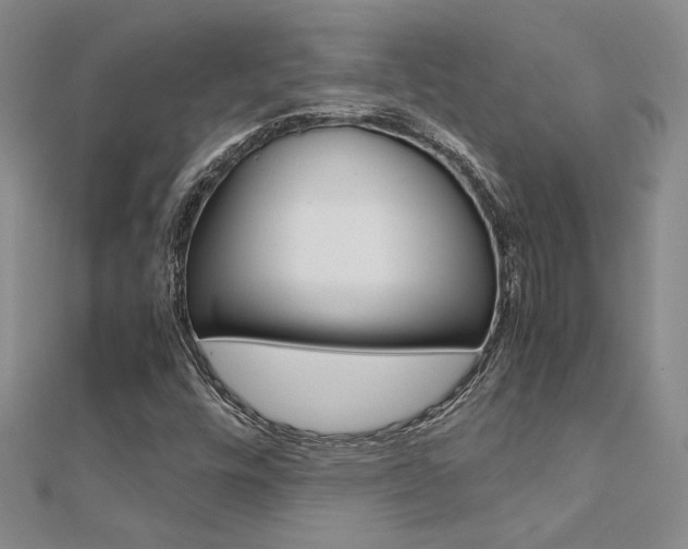 X0000112171448200908070949