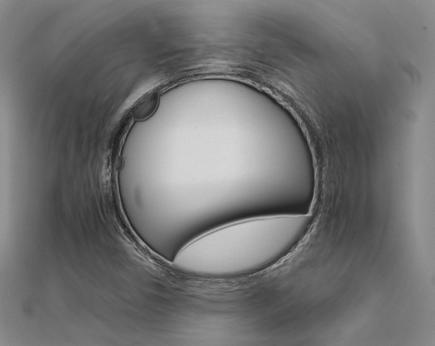 X0000112171450200908070949