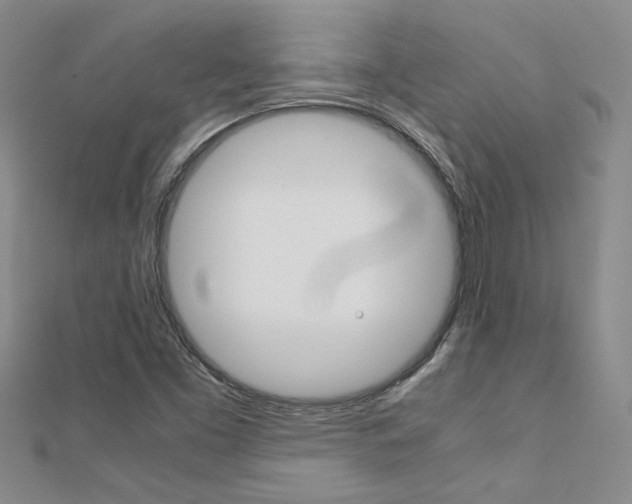 X0000112171453200908070949