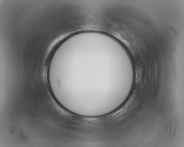 X0000112171454200908070949